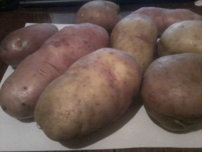 Как выбрать сорт картофеля