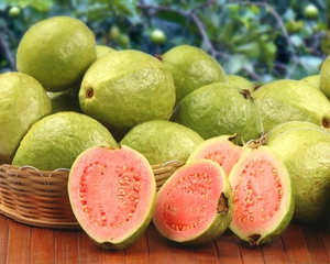 На фото показаны плоды гуавы 