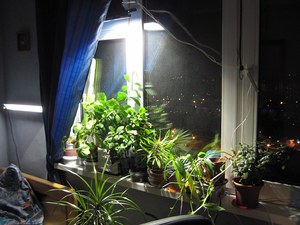 Способ крепления освещения для растений