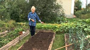 Как правильно подготовить почву для посева томата