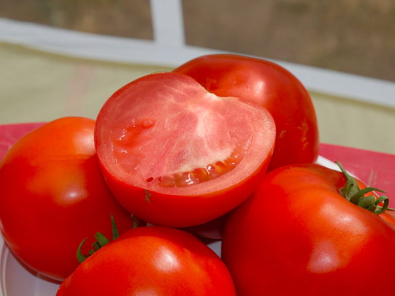 Как правильно высадитьь томаты