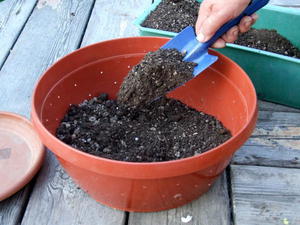 Процесс подготовки почвы для посева семян огурцов