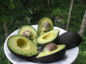 Перечень полезных свойств плодов авокадо