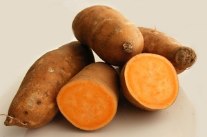 Картофель сладкий описание и свойства батата, выращивание, применение и где купить этот овощ