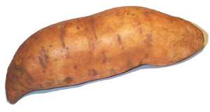 Картофель сладкий описание и свойства батата, выращивание, применение и где купить этот овощ