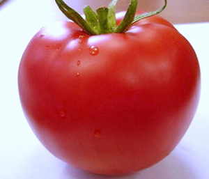 Как вырастить томат в Ленинградской области