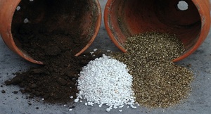 Особенности использования перлита с другими составляющими грунта для растений