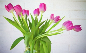 Букет тюльпанов в вазе на столе