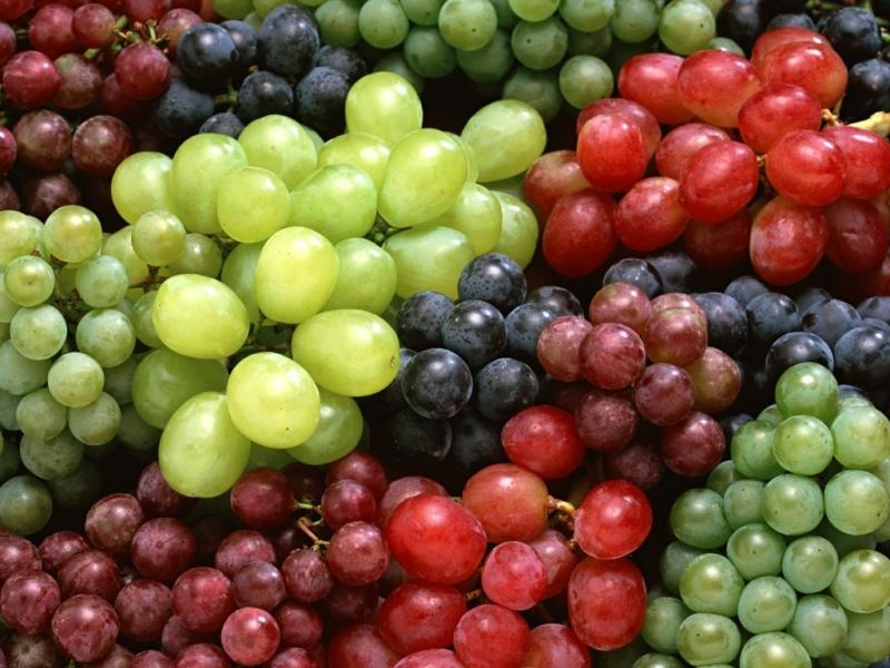 подкормка винограда