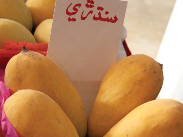 Манго фрукт- польза и вред от манго, рецепты из манго