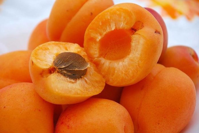 Плоды абрикоса Краснощёкий в разрезе