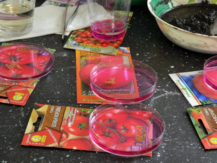 Обеззараживание семян томатов