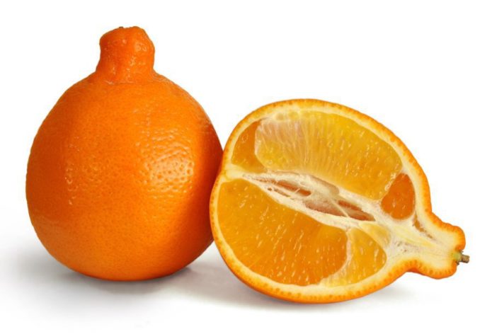 Пупочный апельсин