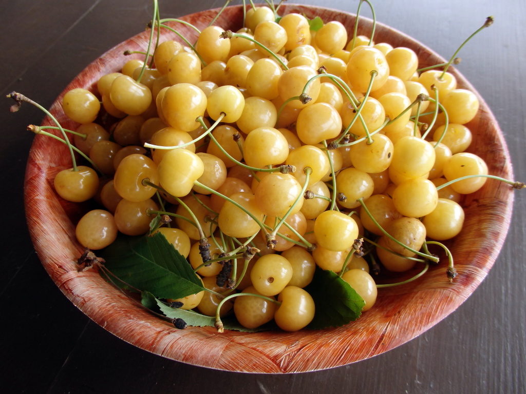 Черешня Чермашная – ранний, сладкий и обильный урожай